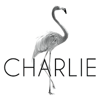 CHARLIE logo