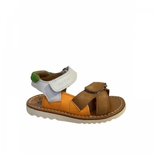  CAMEL